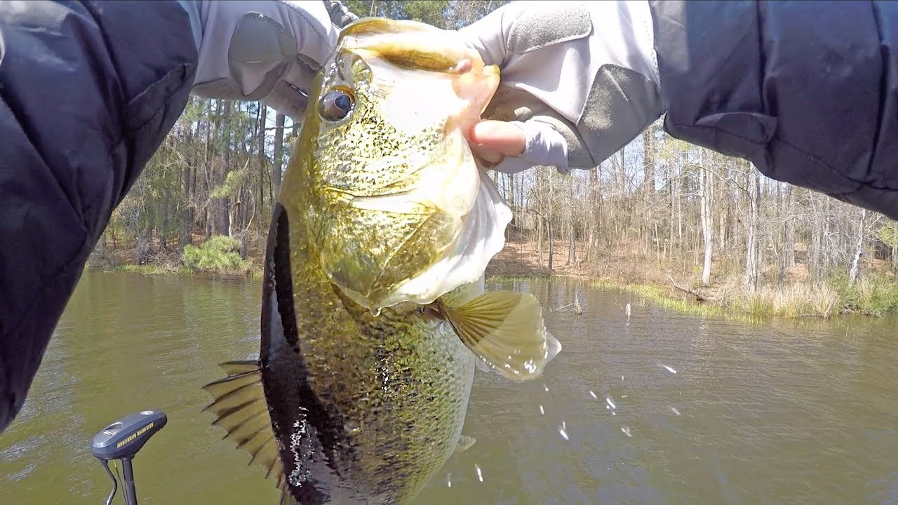 Mystery Tackle Spawn Fishing Challenge