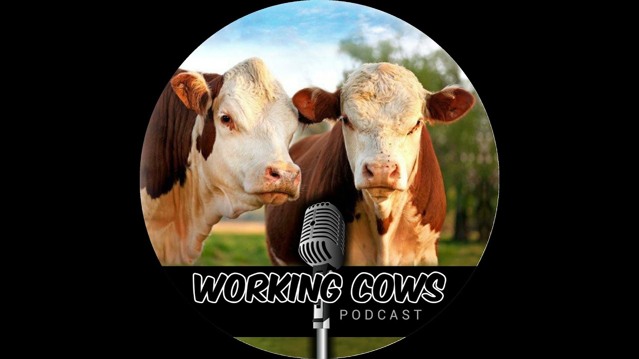 Practical Tips for Regenerative Hay Making (WCP 445)