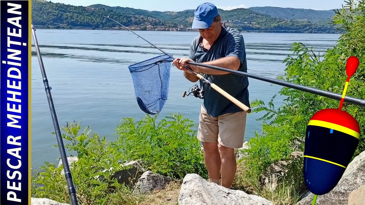 Mic cu mic, copilu' papă ! Dunăre. Șvinița. 03/08/2022