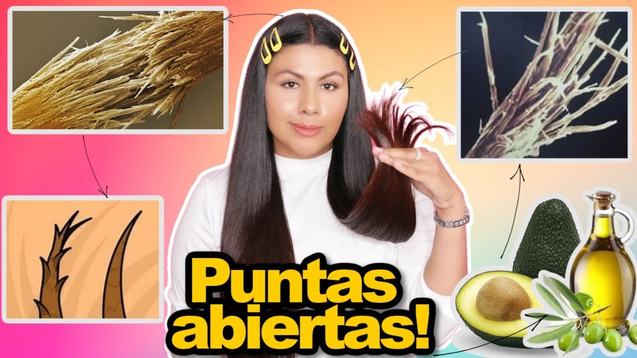 PUNTAS ABIERTAS | Como evitarlas e eliminarlas para SIEMPRE, Todo lo debes saber -fashionbycarol