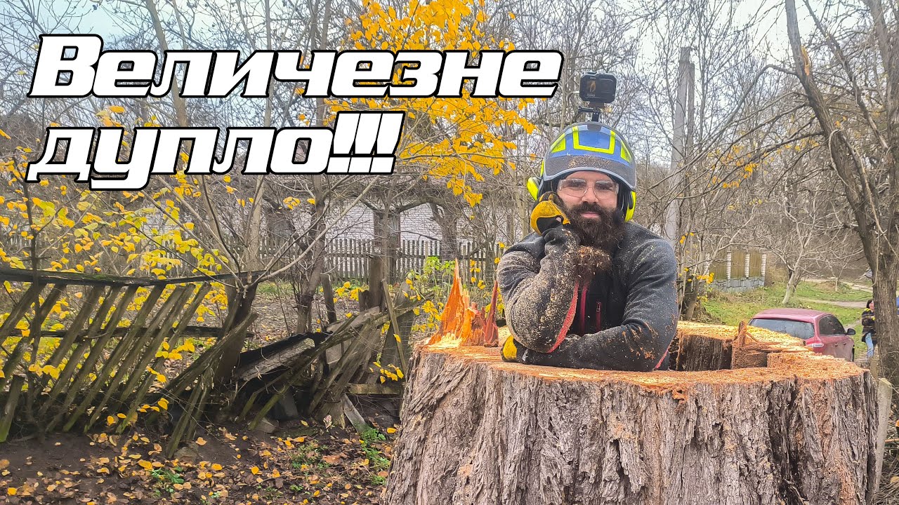 Величезний в'яз
