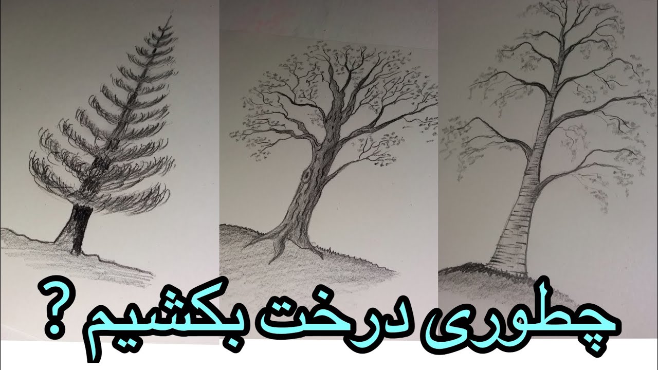 چگونه درخت بکشیم/آموزش نقاشی درخت/ چطوری درخت بکشیم/
