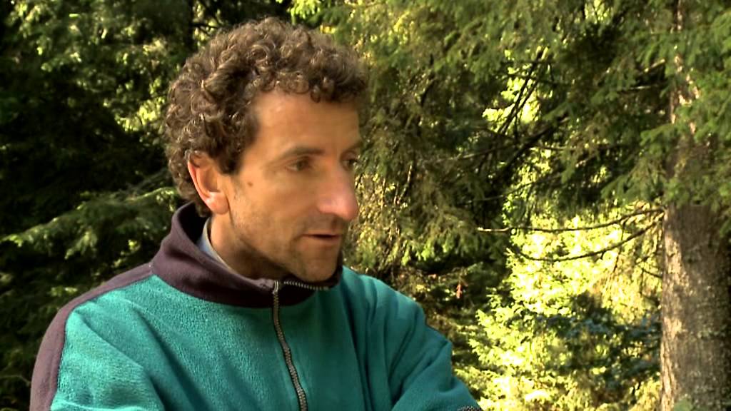 Elkezdődött a Hargita megyében található erdei és turistaútvonal-jelzések festése