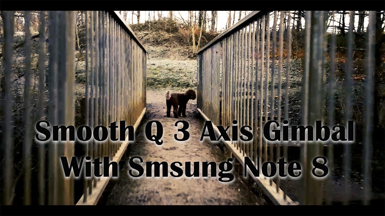 Smooth Q Gimbal with Note 8 Test - #030