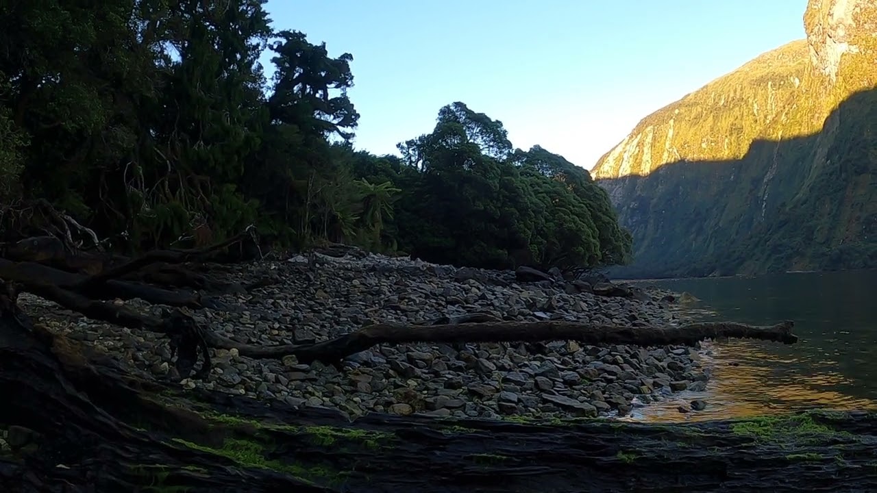 The real life sound of pure New Zealand wilderness; Fiordland