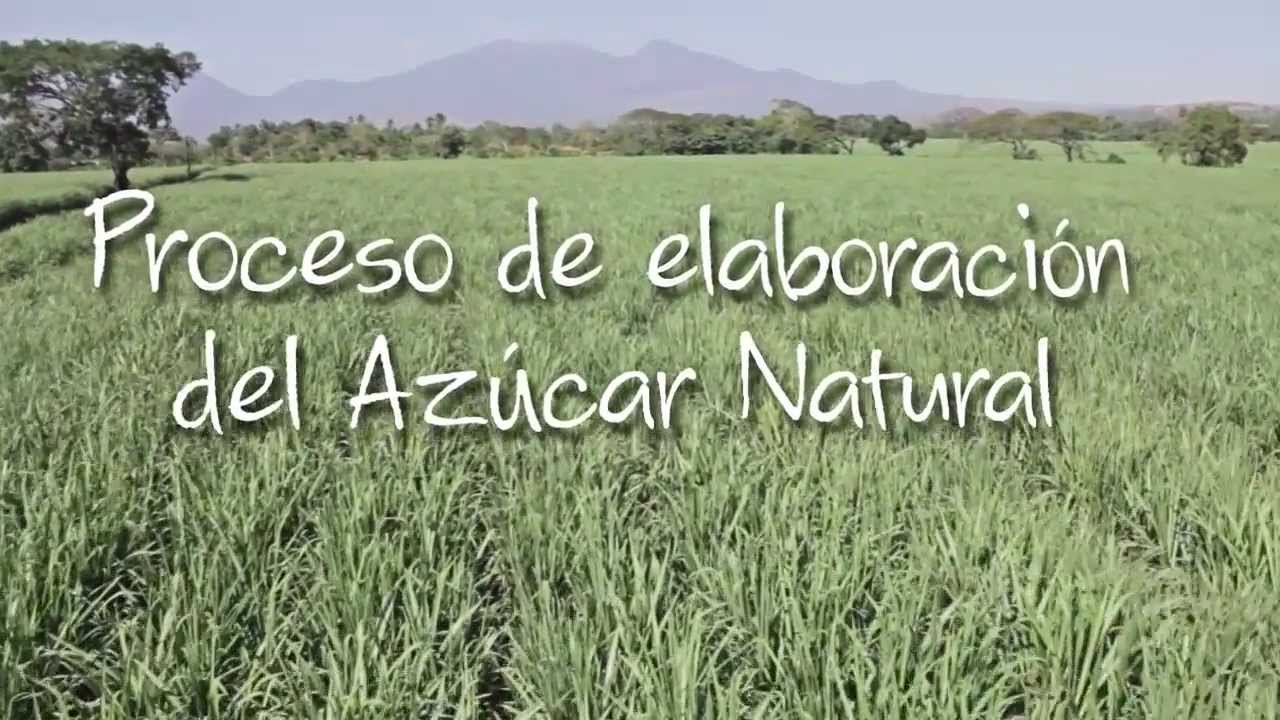 Proceso de Elaboración del Azúcar Natural