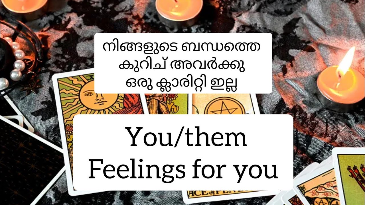 🥰you/ them current feelings 🌺timeless reading🌺love Reading 🥰malayalamtarotcardreading
