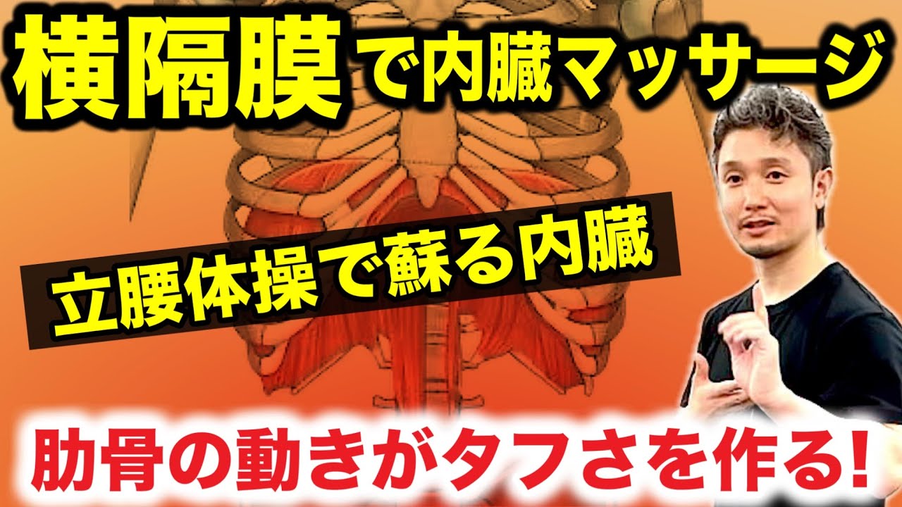 横隔膜を制する者はタフさを制す！内臓が蘇る究極の肋骨術【身体開発・立腰体操・フィジカリストOuJi】