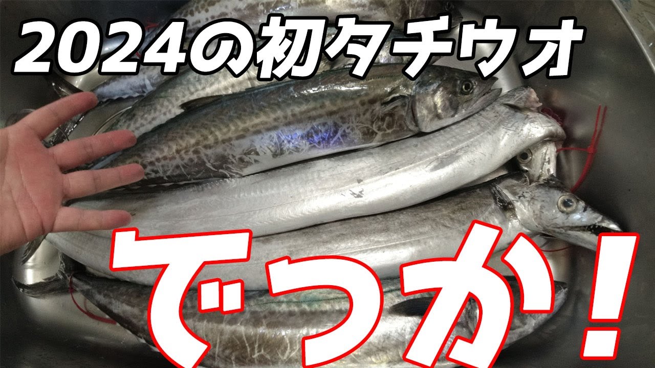 2024初タチウオがデカかった！ 京都府舞鶴でブレードジグを使ったサワラ・サゴシ狙い 後編【鈴蘭丸】