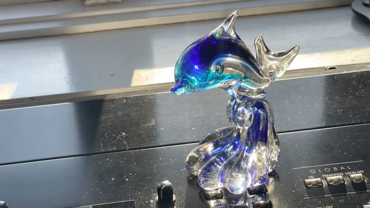 Dolphin Joy