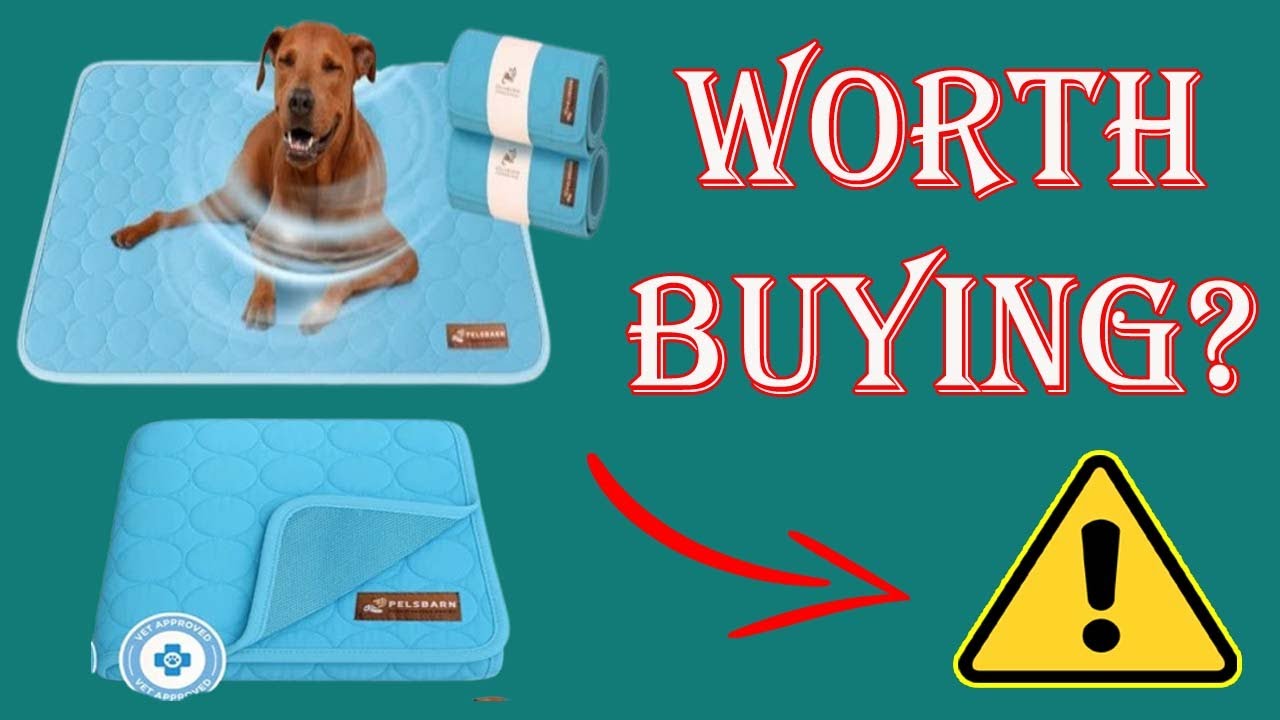 Pelsbarn Cooling Mat Review 🐶 Miracle Pet Comfort or Just Hype? 😰