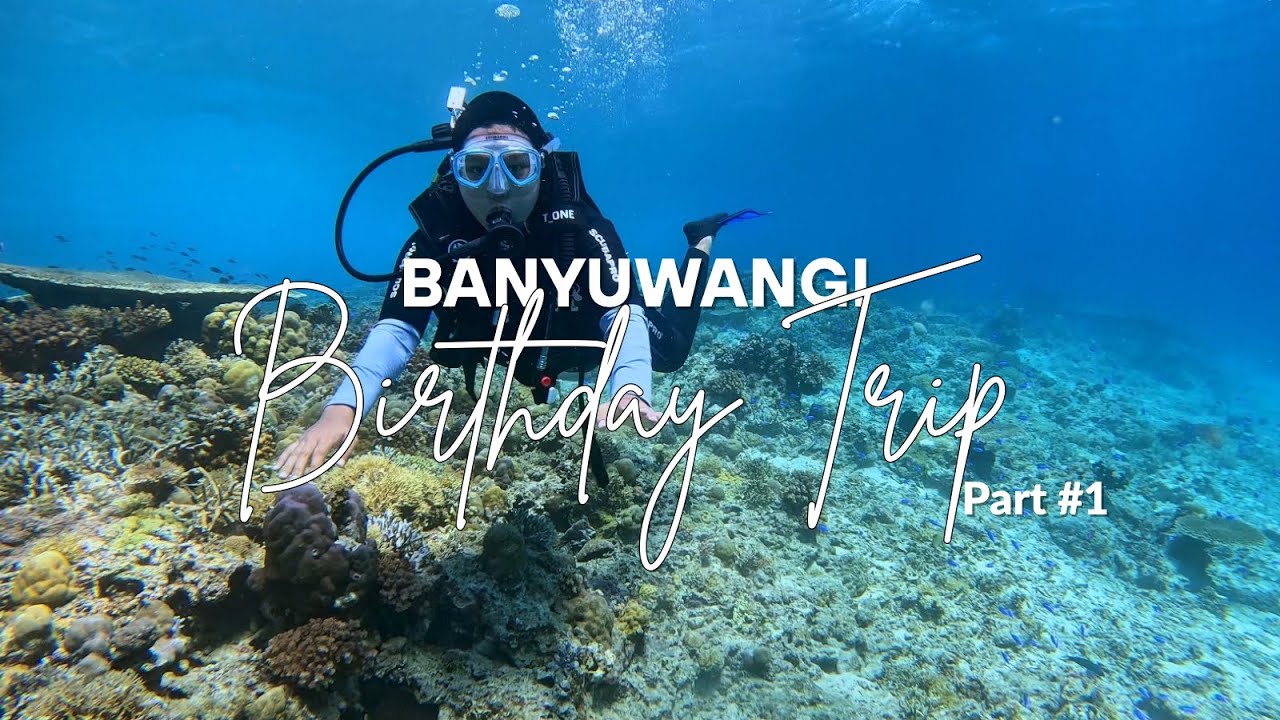 banyuwangi birthday trip: my first diving experience 🌊🐠