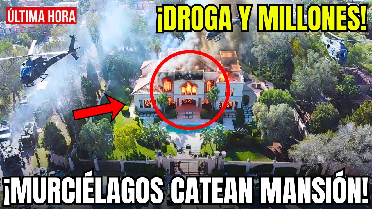 🇲🇽🚨MURCIÉLAGOS CATEAN la MANSIÓN de la SECRETARIA de MANZO: COGEN 4T de DROGA y MILLONES en EFECTIVO