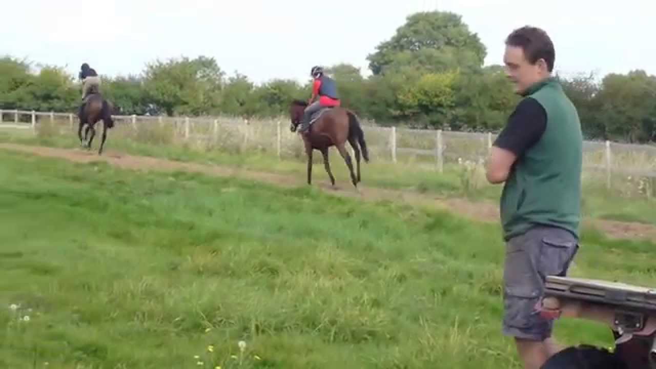 10th September 2014 Rainbow Lollipop & Kauto Riko