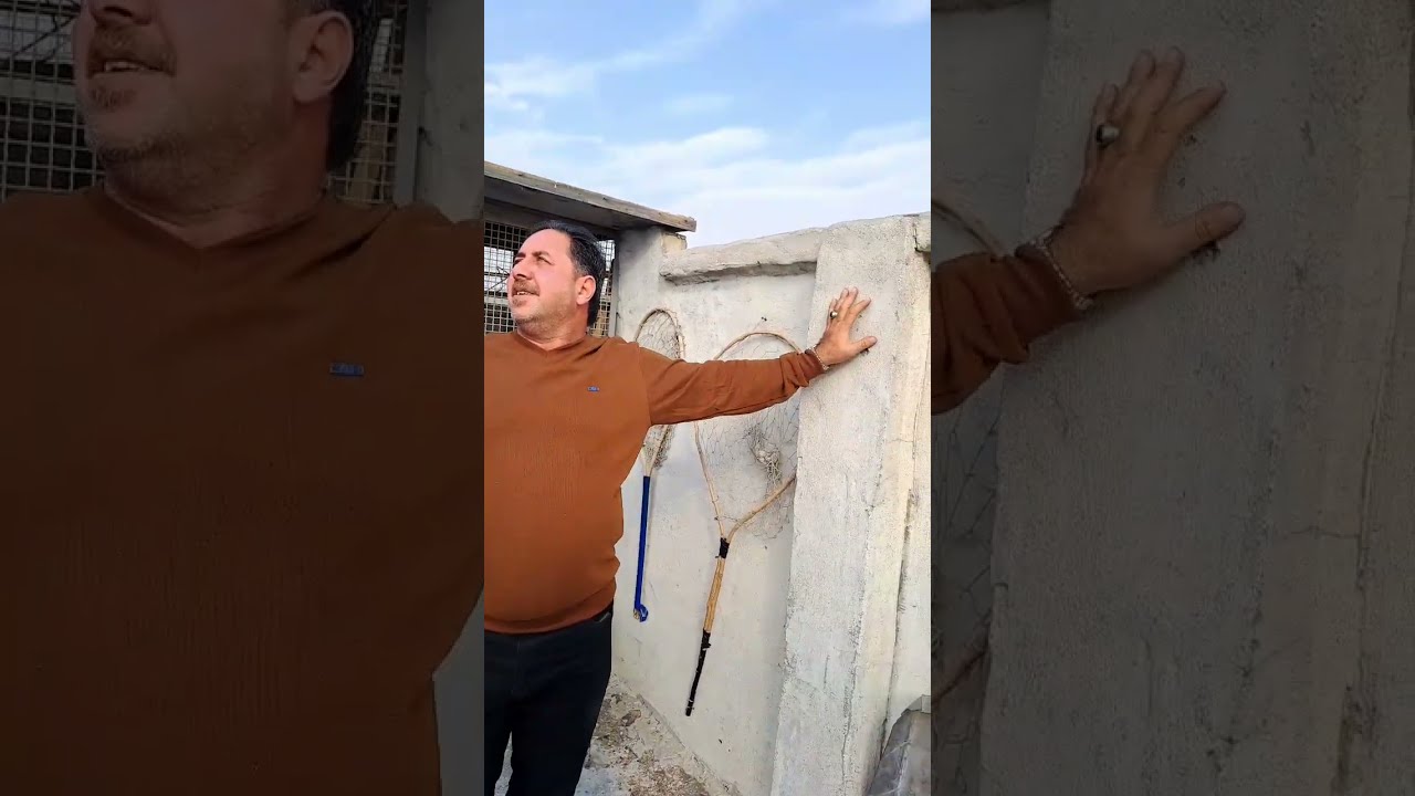 توثيق طيور الكابتن عقيل ابو الهوش بعد الفكة مع الكابتن عباس الدراجي بالتوفيق لجميع