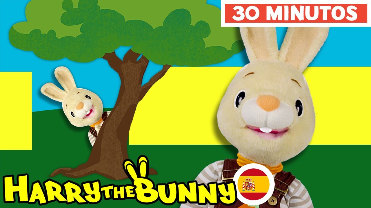 Harry El Conejito | Videos Educativos Para Niños | Preposiciones | Números |  @BabyFirst Español ​