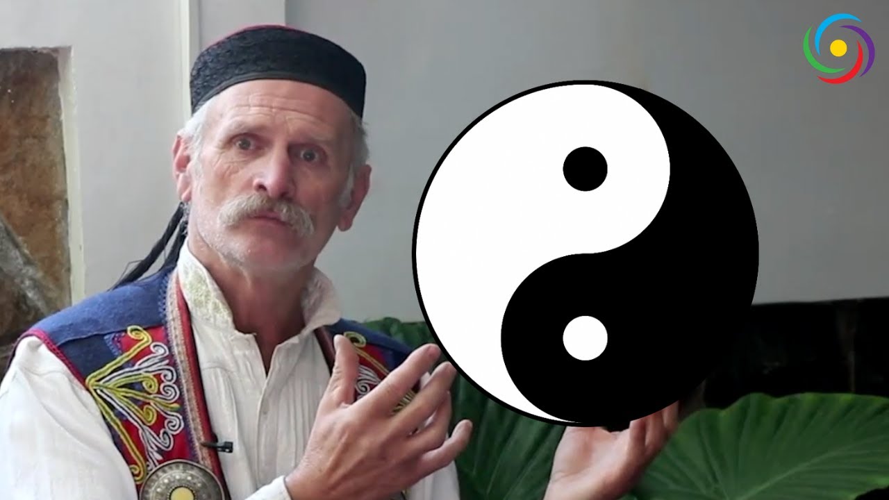 Srđan Do&scaron;en - &Scaron;ta znači Jin Jang?