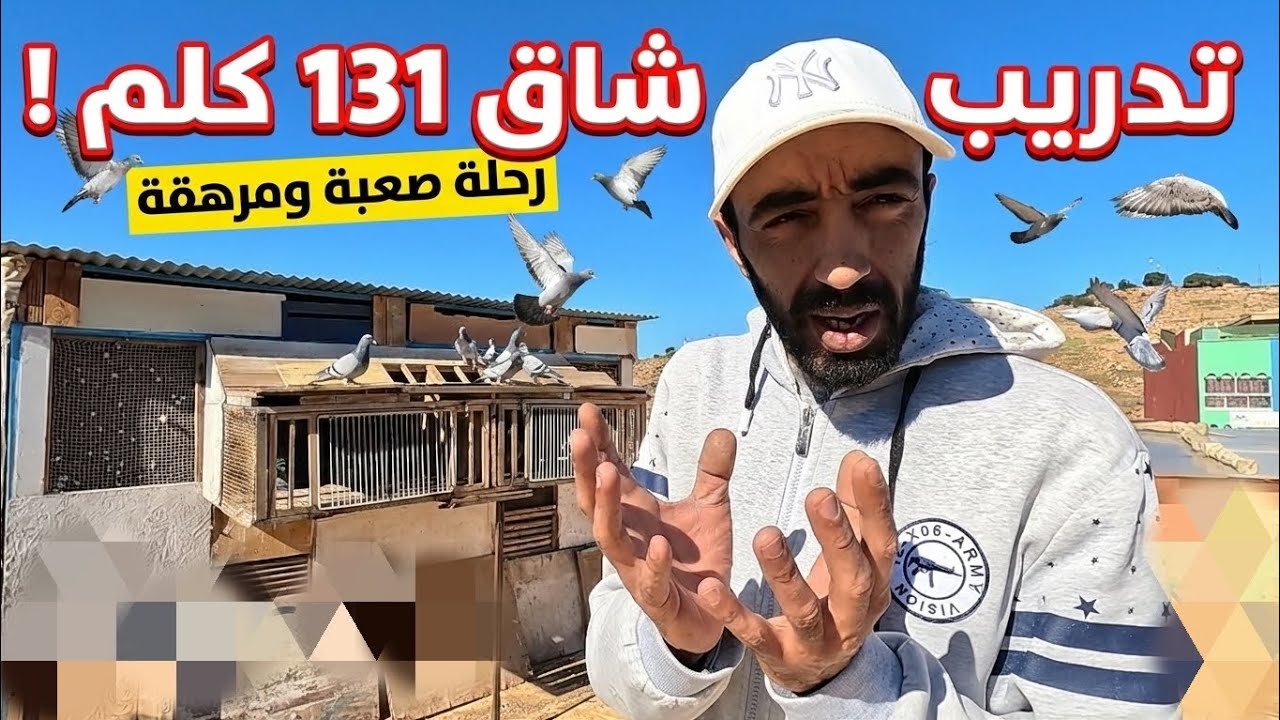 تدريب 131 كلم... تدريب صعب لكن إستفادة الحمام 🫡🥳 مع معلومات حقيقية 🌪️❤️🫣