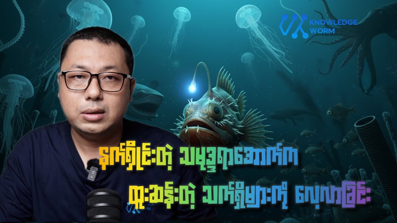 သမုဒ္ဒရာရေနက်ပိုင်းက မြင်ရဖို့ခက်တဲ့ သက်ရှိများ