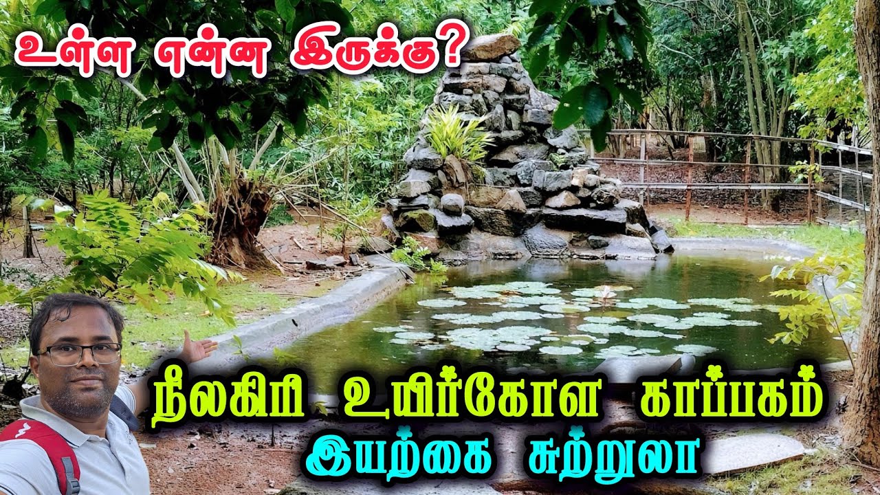 🥰 அரிதான மரங்கள் உள்ள பூங்கா, EXPLORE the Hidden Gem of Anaikatti Nilgiri Biosphere Nature Park!