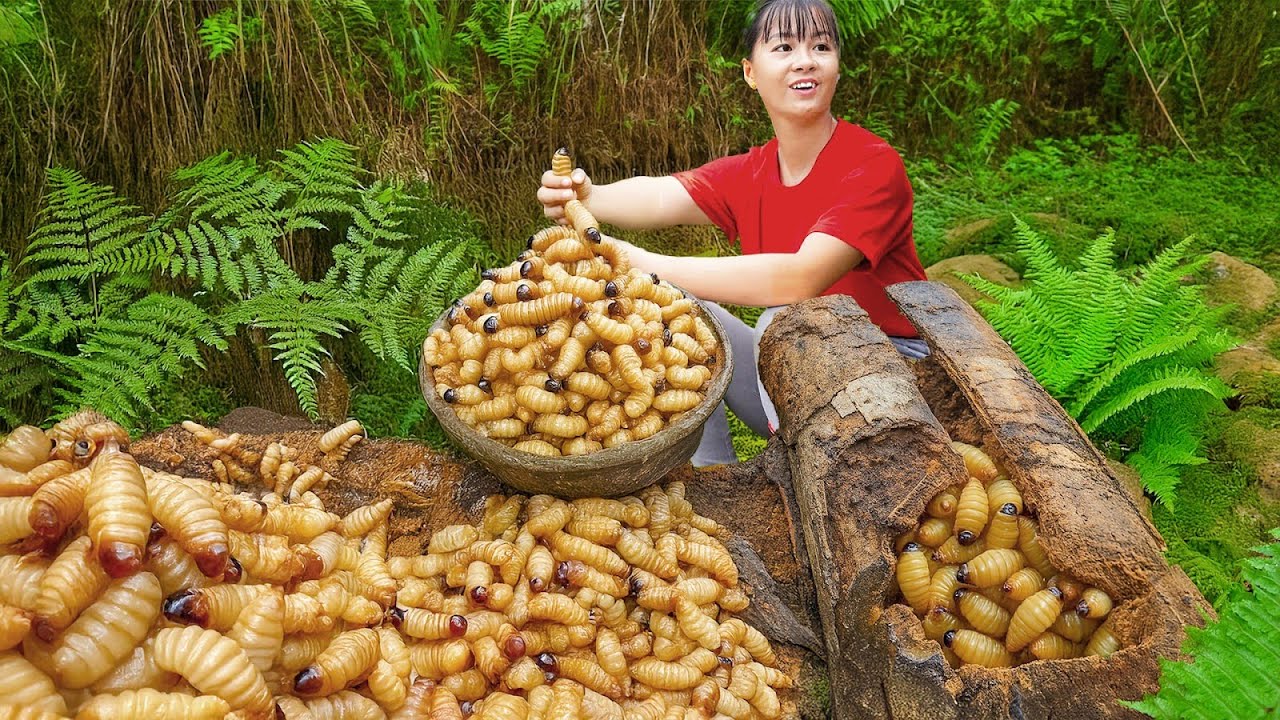 Using 3-Wheeled Truck to Harvest a Lot of Coconut Weevils Go to Market Sell – Take Care of Rabbits