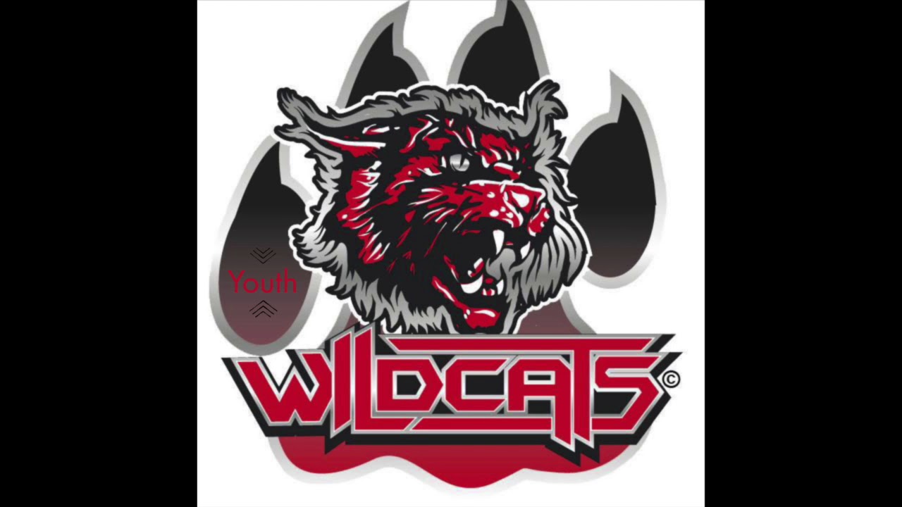 Youth Wildcats Music 2018-2019