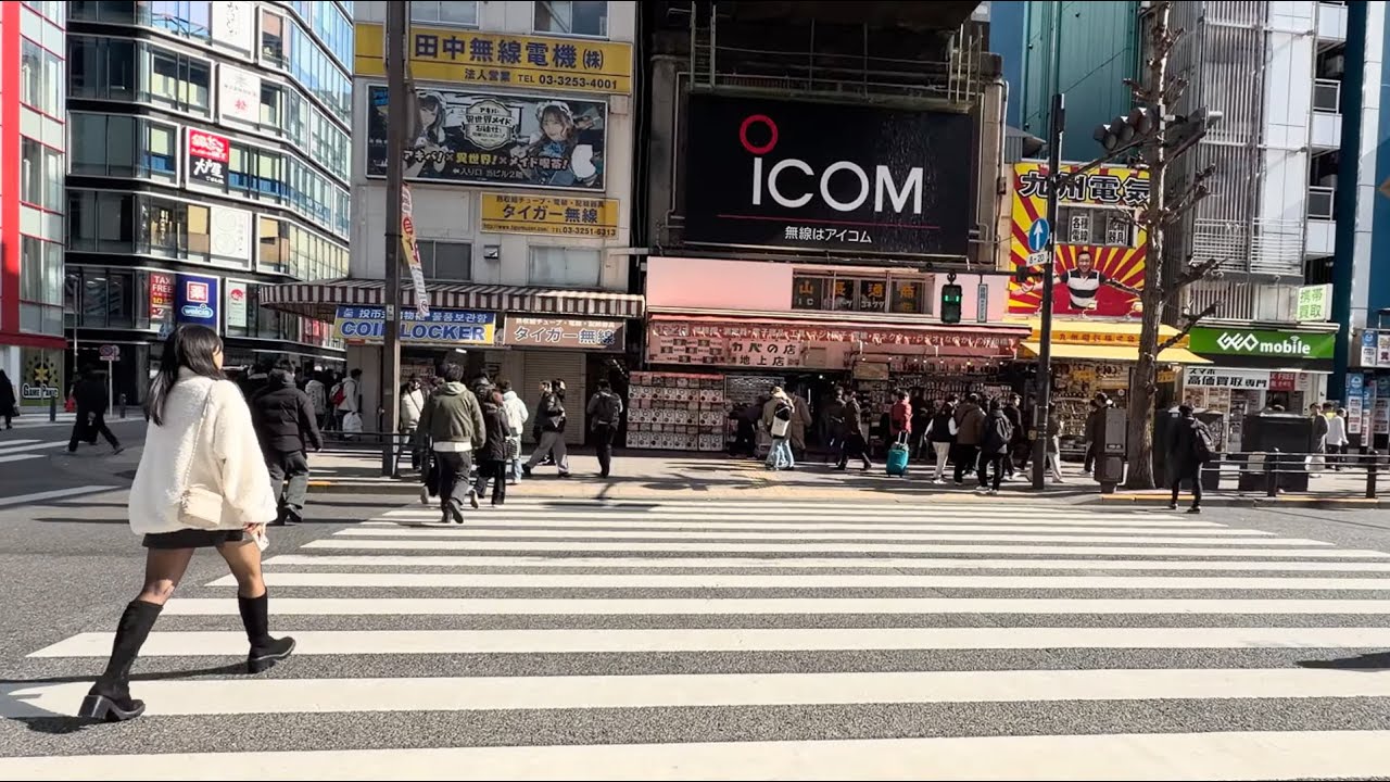 [4K]Akihabara 4K Walk [4K]秋葉原4Kデイタイムウォーク - January 2026
