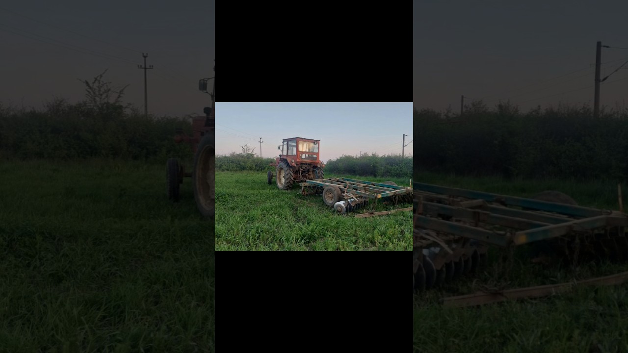 La discuit cu utb 650🚜 România 2025🇷🇴 campanie porumb🌽