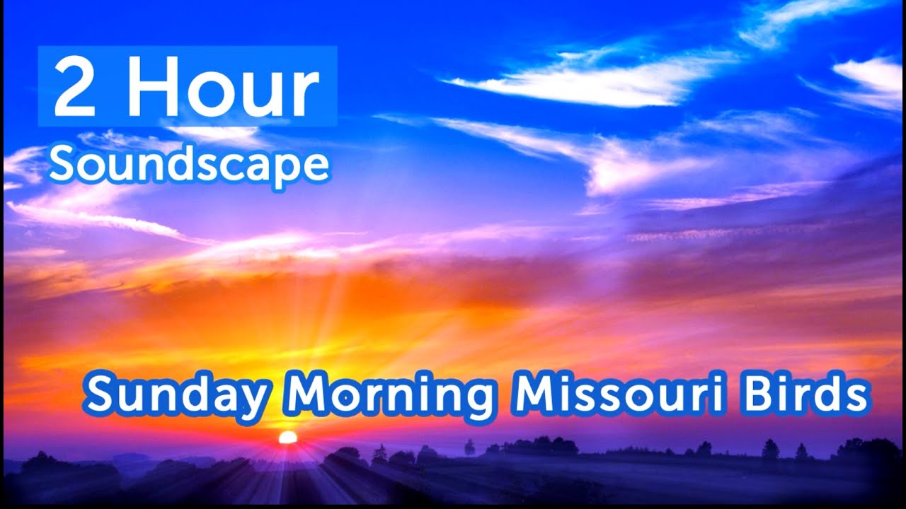 Missouri Bird Sounds On A Sunday Morning In July (07 07 2020)