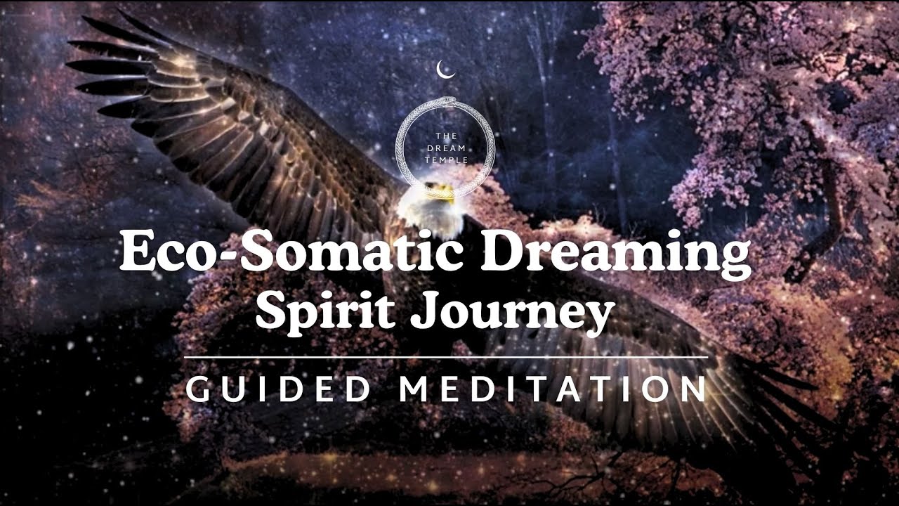 Eco-Somatic Dreaming // Shamanic Spirit Quest Meditation // Spirit Song