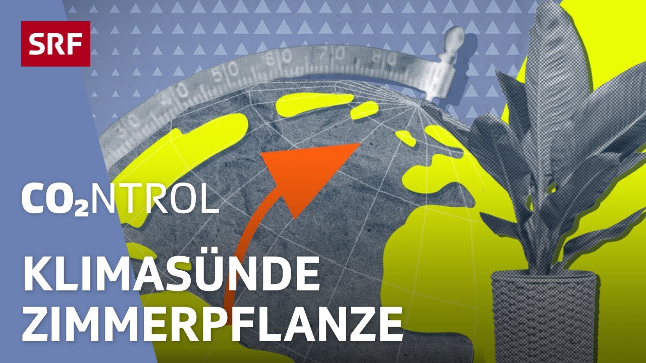 🌱 Nachhaltige Zimmerpflanze – wie ökologisch ist dein Urban Jungle? [2/4] | CO2ntrol | SRF Wissen