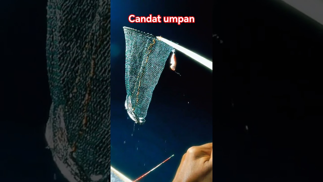 CANDAT UMPAN BUAT TAMBAH2 HASIL... 