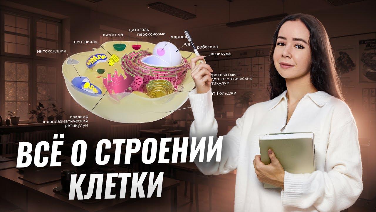 Строение клетки для ЕГЭ по биологии (Задания 5, 6, 7) | Умскул