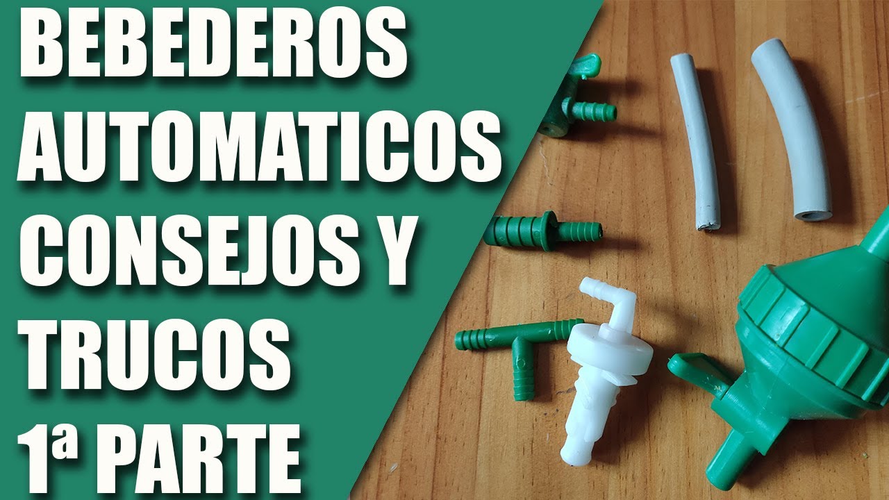CRÍA CANARIOS (BEBEDEROS AUTOMÁTICOS, CONSEJOS Y TRUCOS)         1ª PARTE