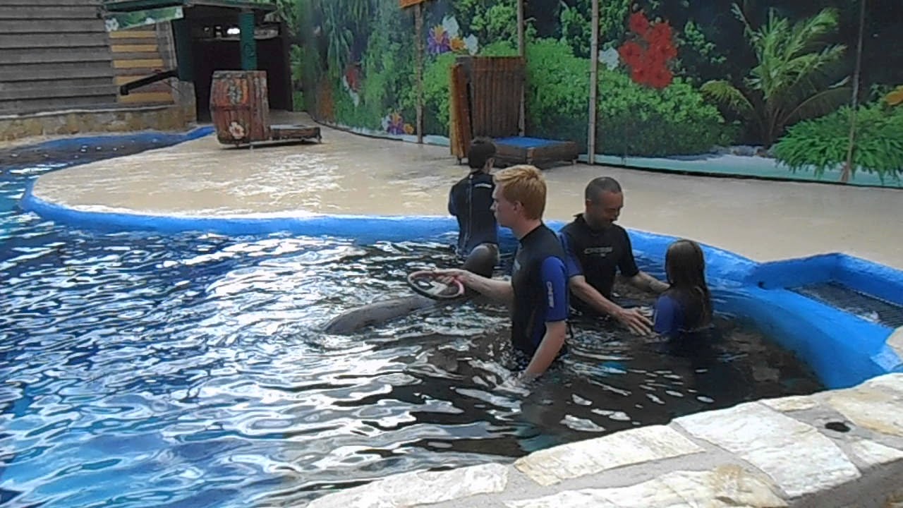mundomar swimming with sea lions
