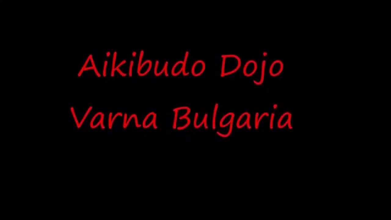 Aikibudo Kihon Osae Waza