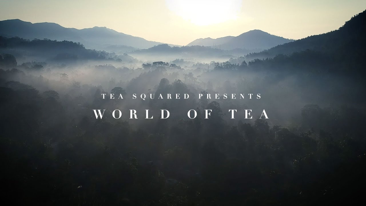 World of Tea