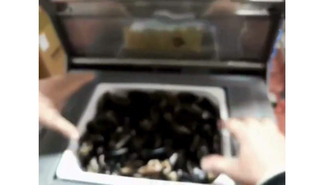 Emrich Packaging Machinery - Apack Benchtop Tray Sealer - Fresh Mussels