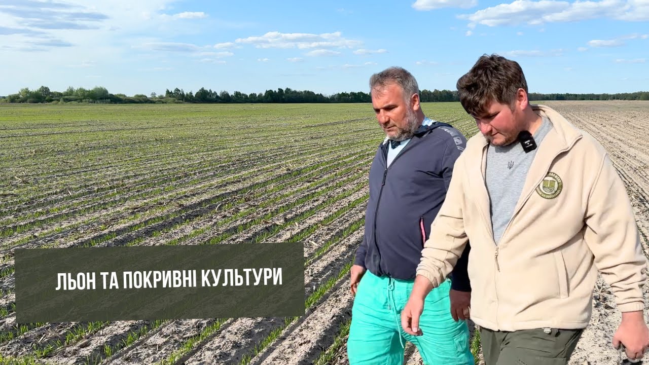 #224  5 культур на одному полі в Житомирській області: льон, овес, віка, пажитниця, редька