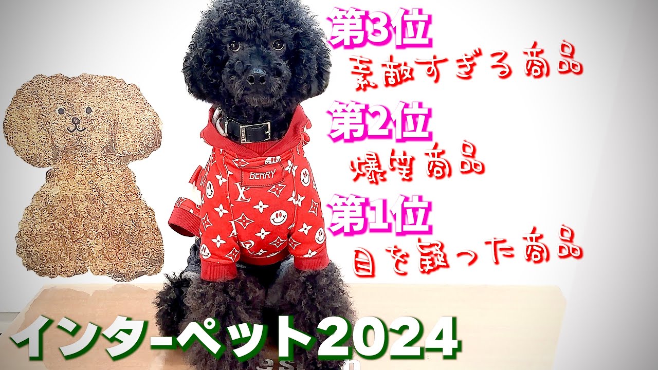 インターペット2024で見た仰天ベスト3【日本最大級ペットイベント】