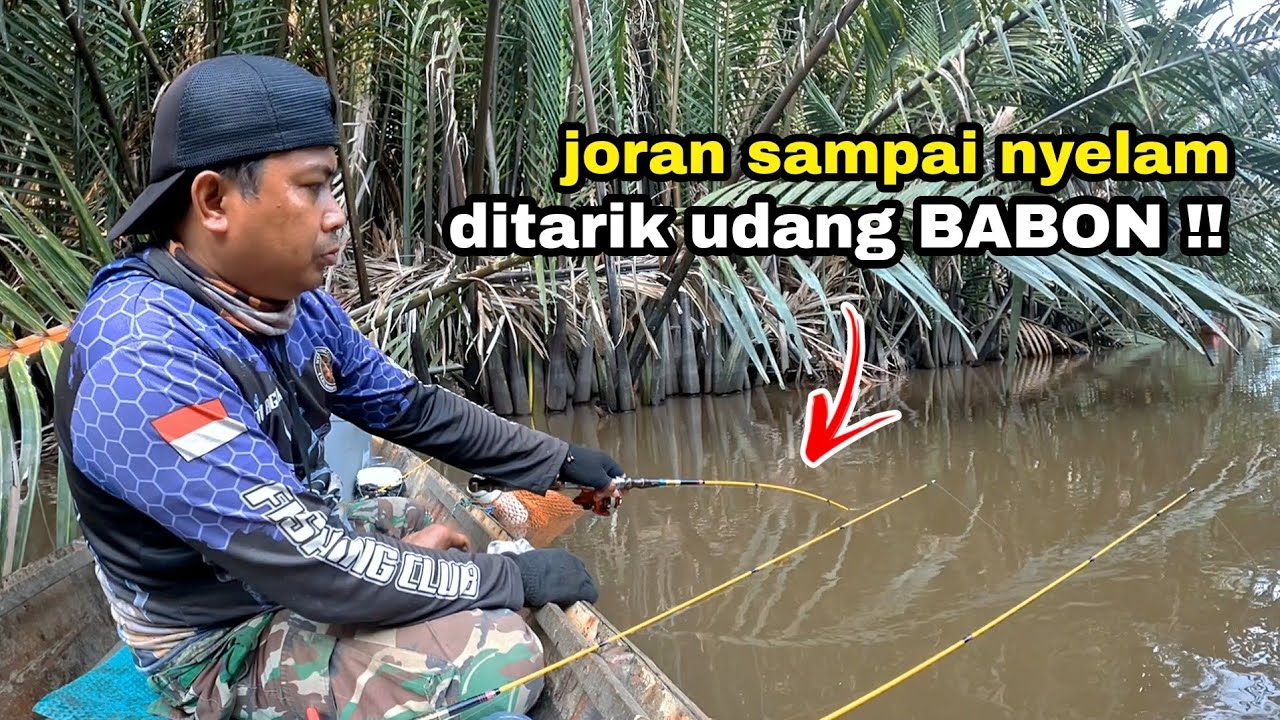 Gak sia-sia belusukan di hutan Nipah, malah Nemu sarang udang galah !!