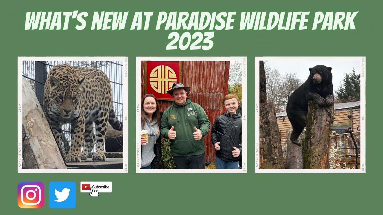 PARADISE WILDLIFE PARK | WHATS NEW FOR 2023