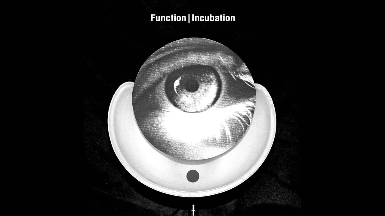 Function - Voiceprint