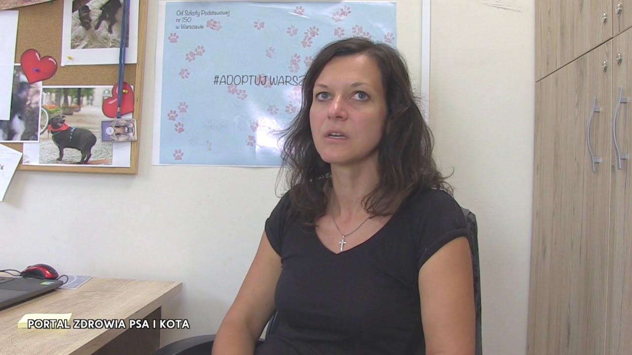 Schronisko dla psów - jak funkcjonuje, jak mu pomóc. Joanna Skrajnowska - schronisko Na Paluchu