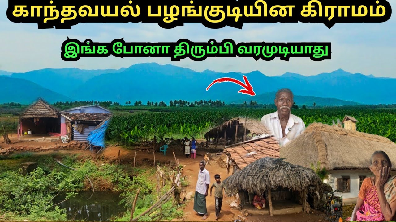 இந்த ஊருக்கு வழி கேட்டாலே அதிரும் மக்கள்😱|காந்தவயல் பழங்குடி கிராமம்|tribal village|irular tribes