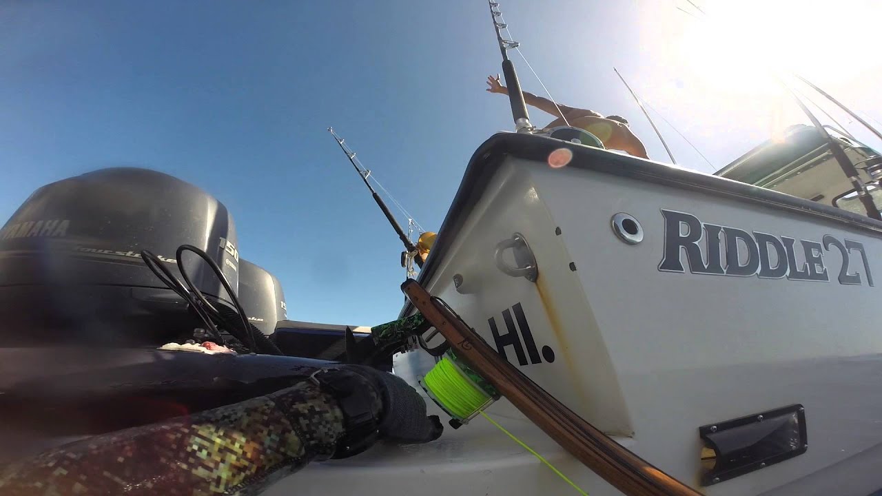 SPEARFISHING HAWAII-GHOST BUSTER