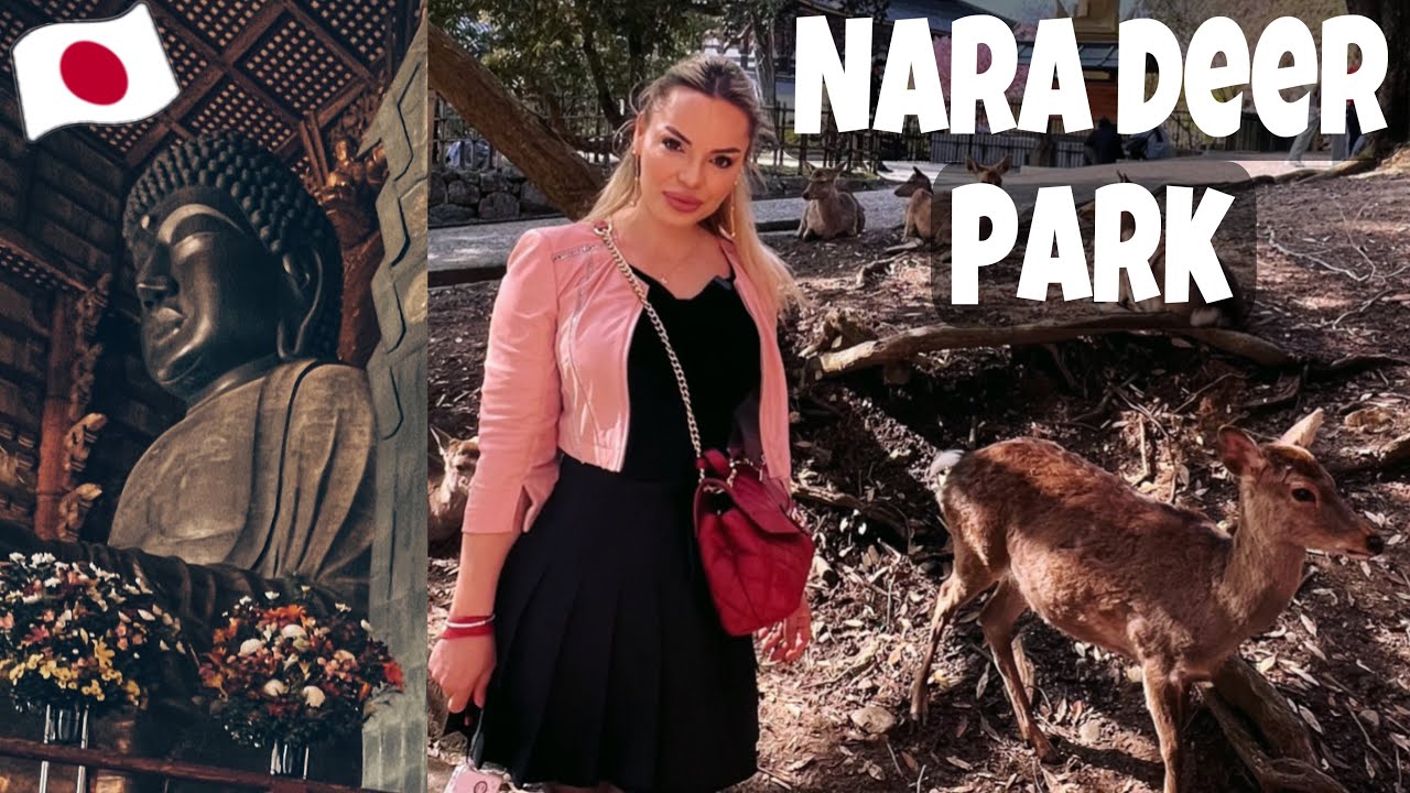 JAPAN VLOG | TRAVEL TO NARA DEER PARK & TEMPLES IN NARA#japanvlog#lifeinjapan#narapark#traveljapan
