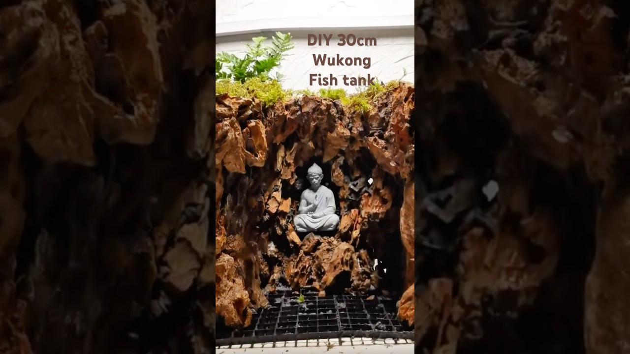 DIY Natural Stream Biome Step-by-Step, Stream Biotope Masterclass: 30cm Wukong🐵 Tank(DIY Guide)