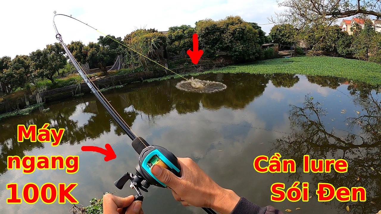 Mua bộ câu lure Máy Ngang siêu rẻ về câu thử và Cái Kết