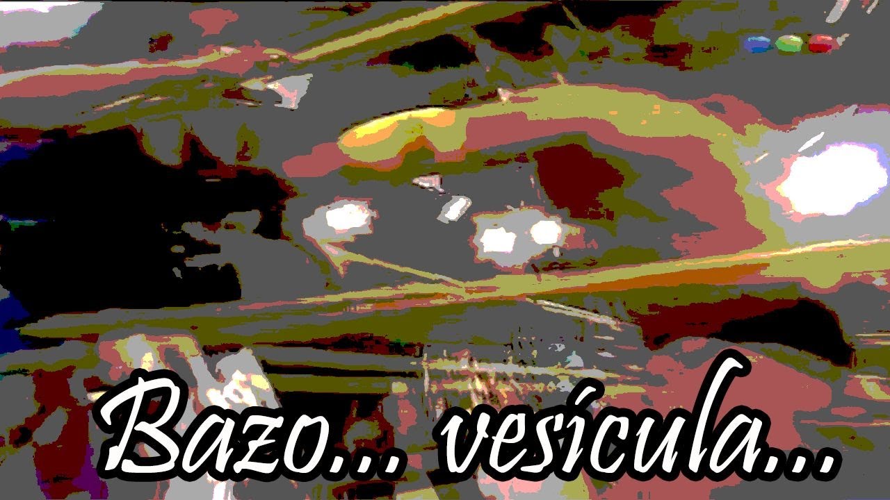 Bazo y vesícula